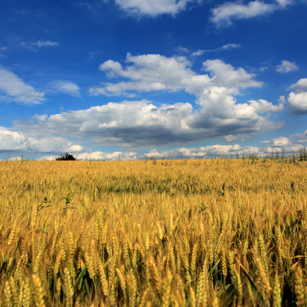 Everything for the harvest - in one place!