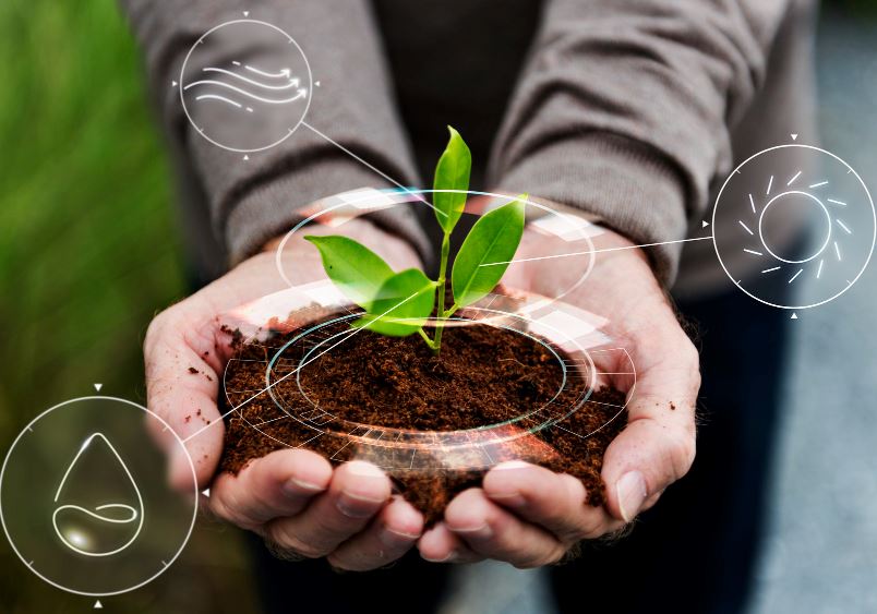 Agroinnovation 2025: How technology is changing agriculture